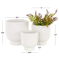 Cream Ceramic Planter with Tapered Base Set