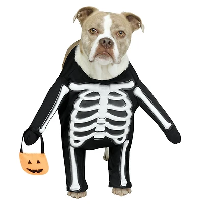 Skeleton Dog Costume by Ashland®