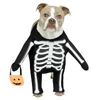 Skeleton Dog Costume by Ashland®