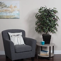 4ft. Artificial Capensia Bush with Square Willow Basket