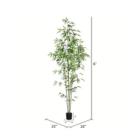 6ft. Potted Mini Bamboo Tree