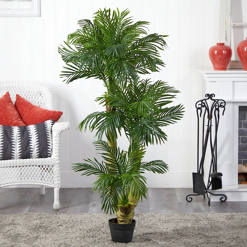 5ft. Potted Triple Phoenix Palm Tree