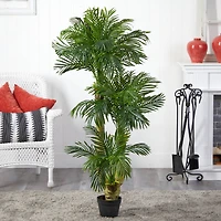 5ft. Potted Triple Phoenix Palm Tree