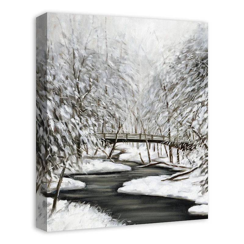 Winter Creek 16" x 20" Canvas Wall Art
