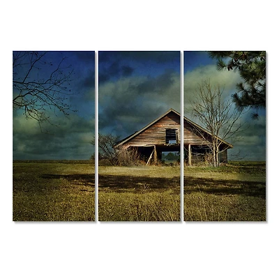 Designart - Storm Barn II