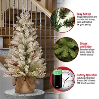3ft. Pre-Lit Dunhill® Fir Artificial Christmas Tree, Warm White LED Lights