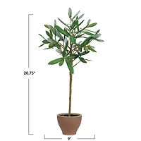 Hello Honey® 20.75" Evergreen Faux Olive Topiary Tree in Dolomite Pot