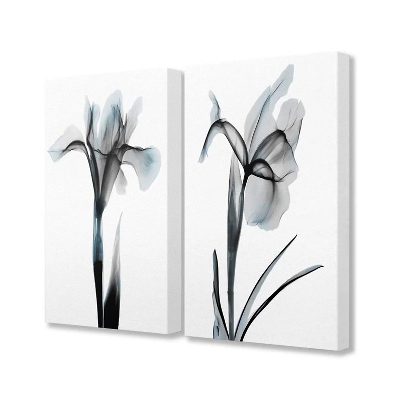 Stupell Industries Contrast Black And Blue Flower Bloom DesignsCanvas Wall Art