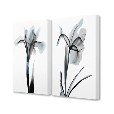 Stupell Industries Contrast Black And Blue Flower Bloom DesignsCanvas Wall Art