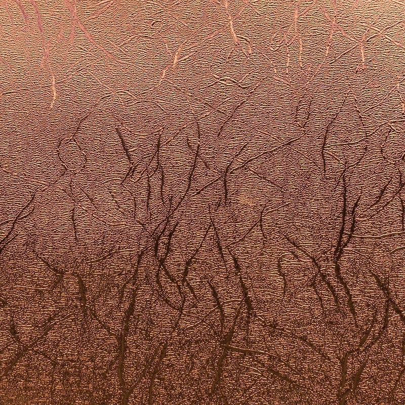 Cricut® Martha Stewart Gilded Black Tie Mixed Materials