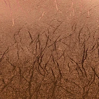 Cricut® Martha Stewart Gilded Black Tie Mixed Materials