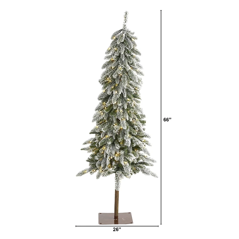 5.5ft. Pre-Lit Flocked Washington Alpine Artificial Christmas Tree, Warm White LED Lights