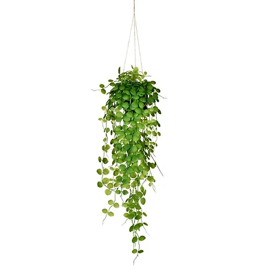 2.5ft. Green Mini Leaf Ivy in Hanging Pot