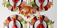 DII® Embroidered Turkey Placemat Set