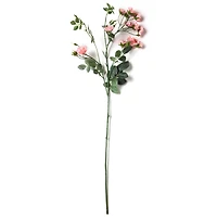 Pink Kate Rose Spray by Ashland®