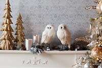 12.5" Winter Owl Décor Set