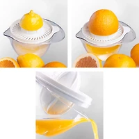 Household Essentials Leifheit Manual Citrus Juicer