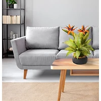 20" Bird of Paradise and Musa Leaf Arrangement in Stoneware Bowl