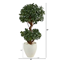 4ft. Sweet Bay Double Ball Topiary Artificial Tree in White Planter