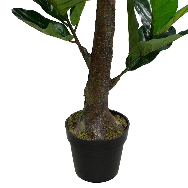 6ft. Dark Green Potted Fiddle Leaf Fig Tree