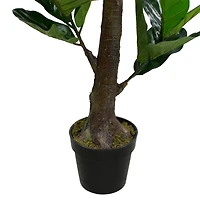 6ft. Dark Green Potted Fiddle Leaf Fig Tree