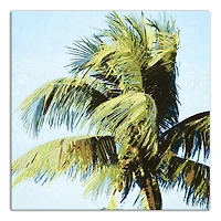 Palm In The Wind 24" x 24" Canvas Wall Art