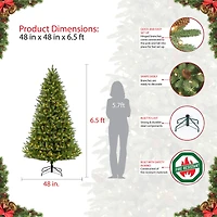 6.5ft. Pre-Lit Glacier Fir Artificial Christmas Tree, Clear Lights