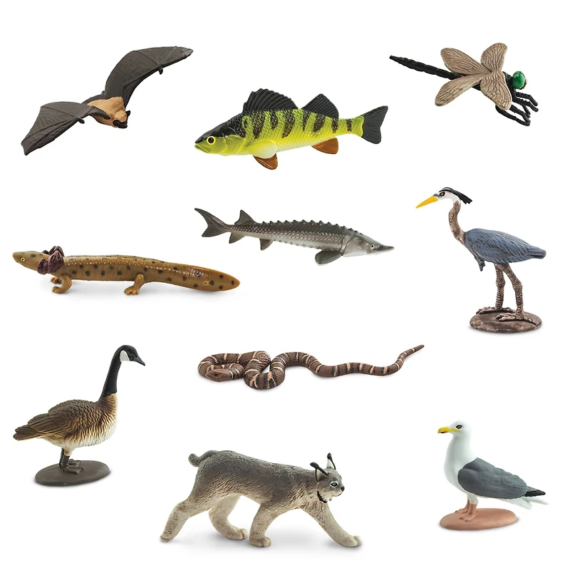 Safari Ltd® TOOB® Great Lakes