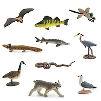 Safari Ltd® TOOB® Great Lakes