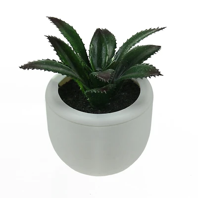 3.5" Artificial Succulent Planter with White Pot