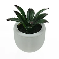 3.5" Artificial Succulent Planter with White Pot