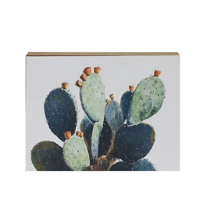 7.75" Close-Up Cactus Photo Tabletop Décor by Ashland®