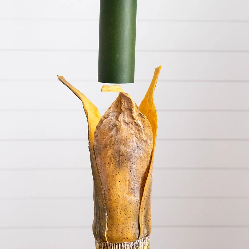 6ft. Potted Coconut Palm Tree