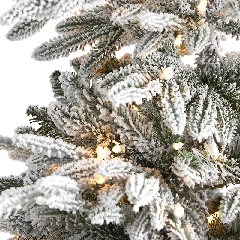 6.5ft. Pre-Lit Manchester Spruce Artificial Christmas Tree, Clear Lights