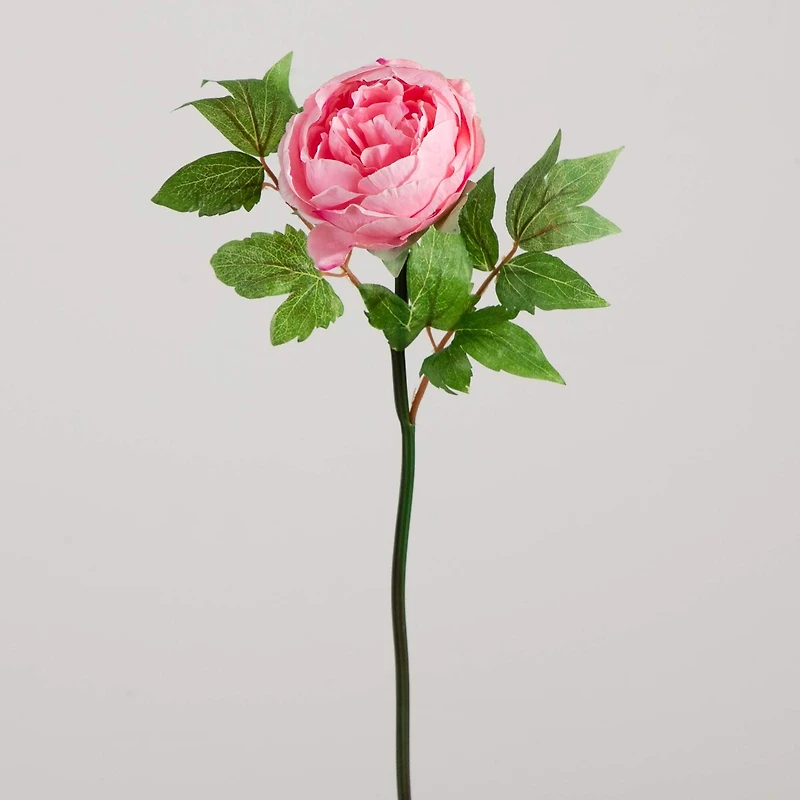 20" Pink Peony Flower Stems, 3ct.