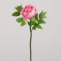 20" Pink Peony Flower Stems, 3ct.