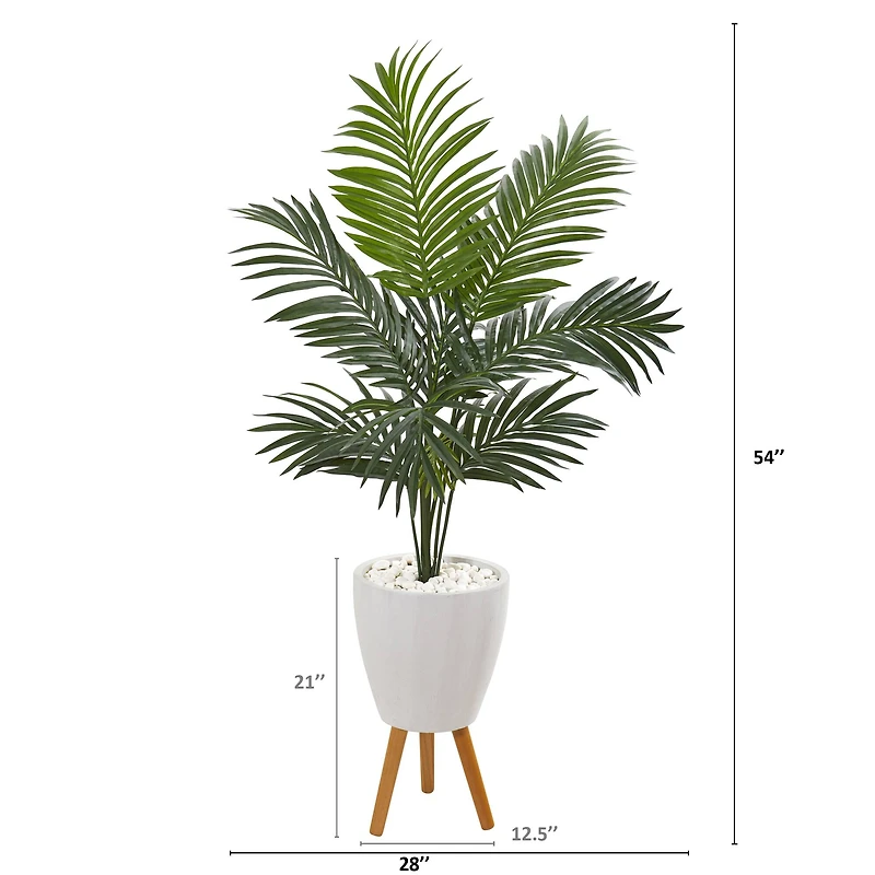 4.5ft. Kentia Palm Tree In White Planter With Legs
