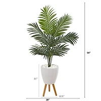 4.5ft. Kentia Palm Tree In White Planter With Legs