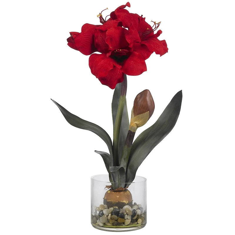 20'' Amaryllis in Round Vase