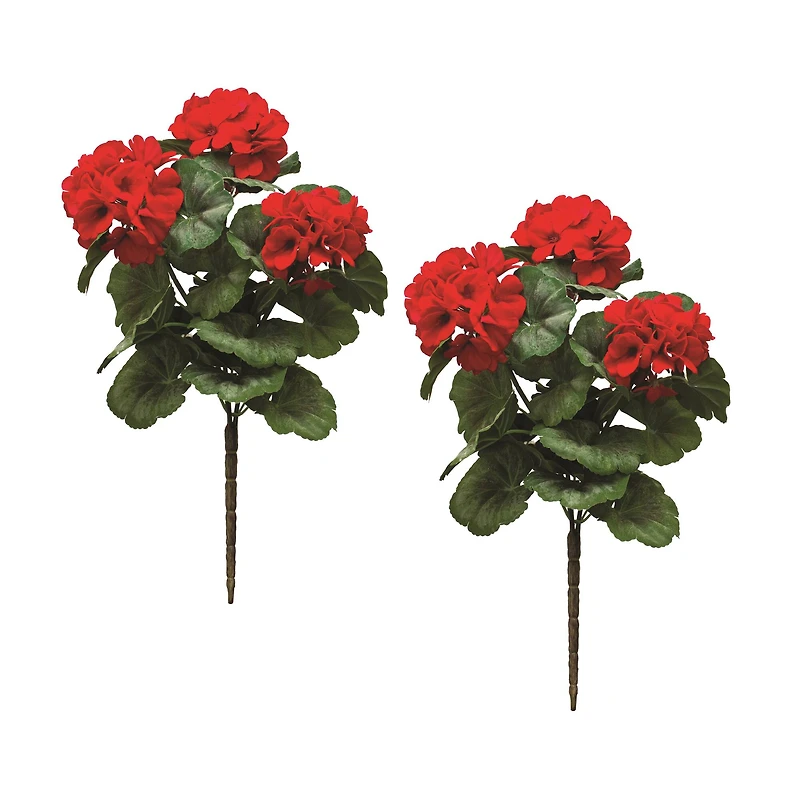 20" Geranium Bush, 2ct.