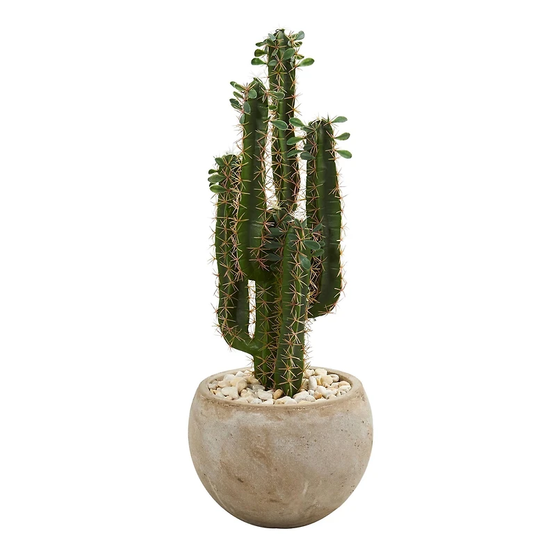 2.5ft. Cactus in Bowl Planter