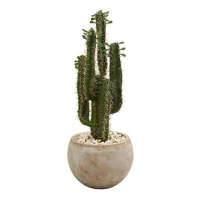 2.5ft. Cactus in Bowl Planter