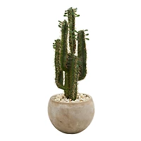 2.5ft. Cactus in Bowl Planter