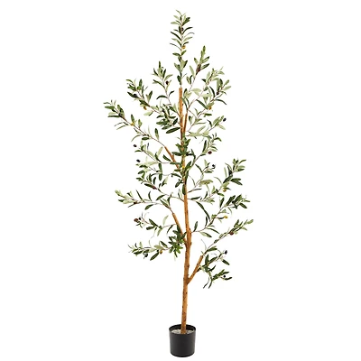4.5ft. Potted Sparse Olive Tree