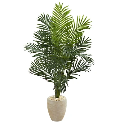 5.5ft. Paradise Artificial Palm Tree in Sand Colored Planter