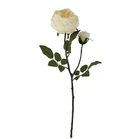 24" Cream Cabbage Rose Stem by Ashland®