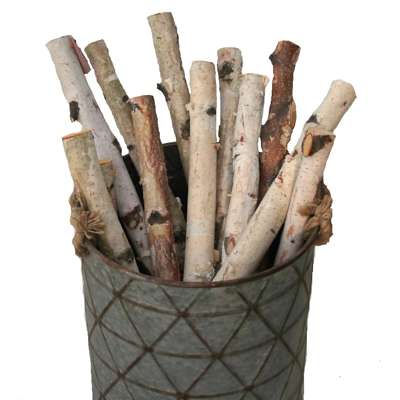 Wilson® Enterprises Birch Logs Set, 12ct.