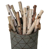 Wilson® Enterprises Birch Logs Set, 12ct.