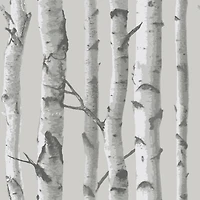 NuWallpaper Birch Gray Peel & Stick Wallpaper