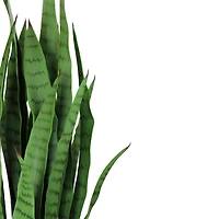 3ft. Potted Two-Tone Green Artificial Snake Plant